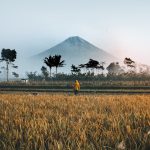 Indonesia